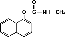 N�]���`���J���o�~���_1�]�i�t�`���\����